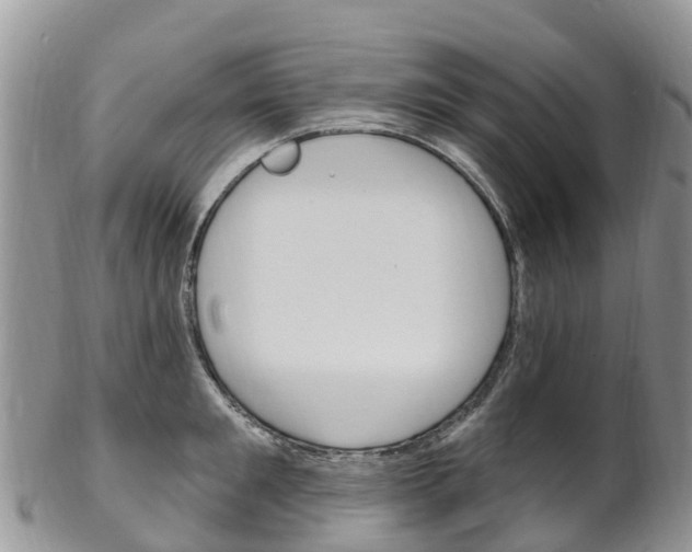 X0000102790901200808180951