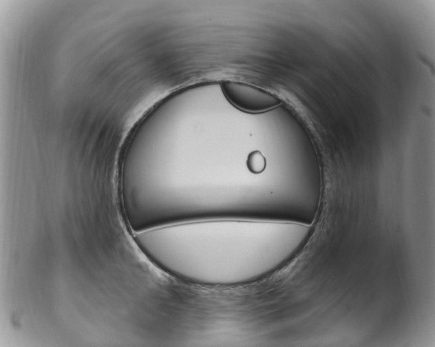 X0000102790902200808180951