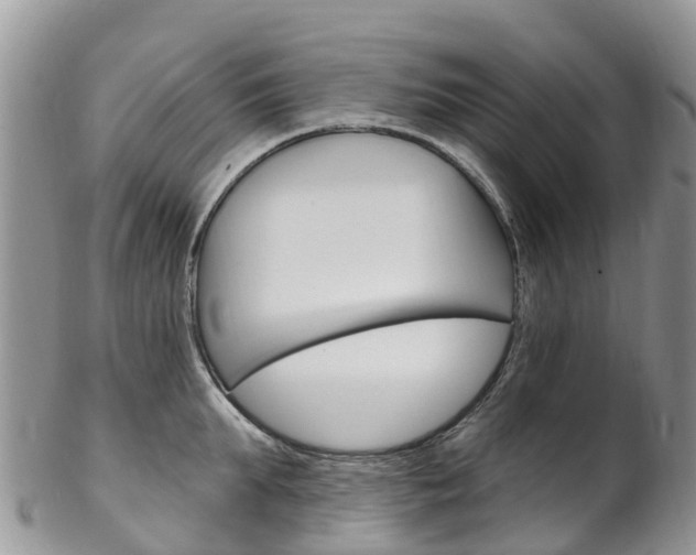 X0000102790903200808180951