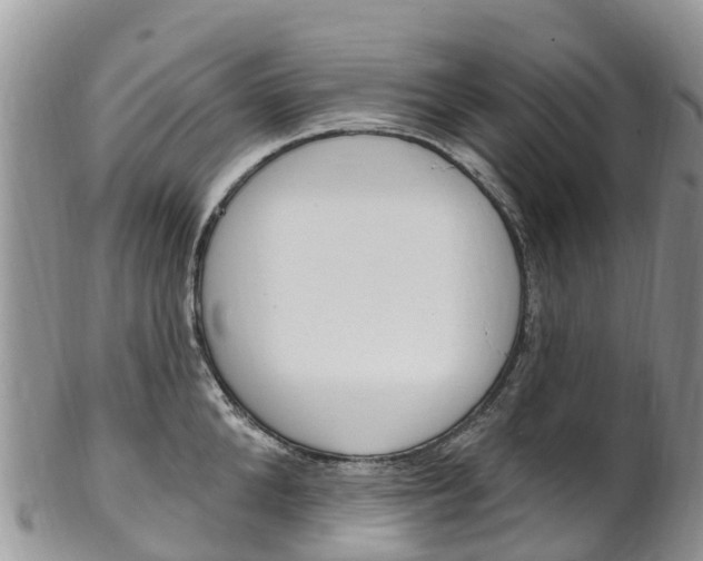 X0000102790904200808180951