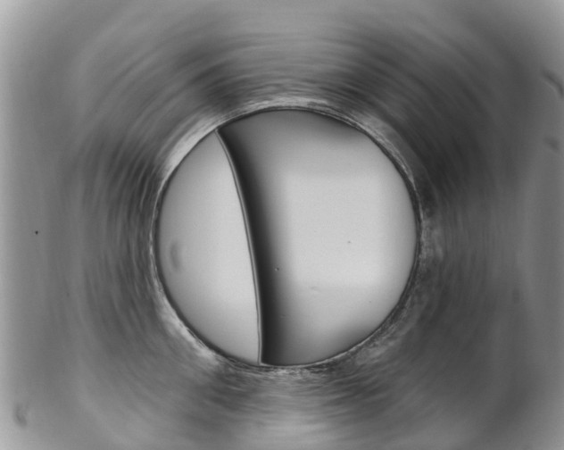 X0000102790906200808180951