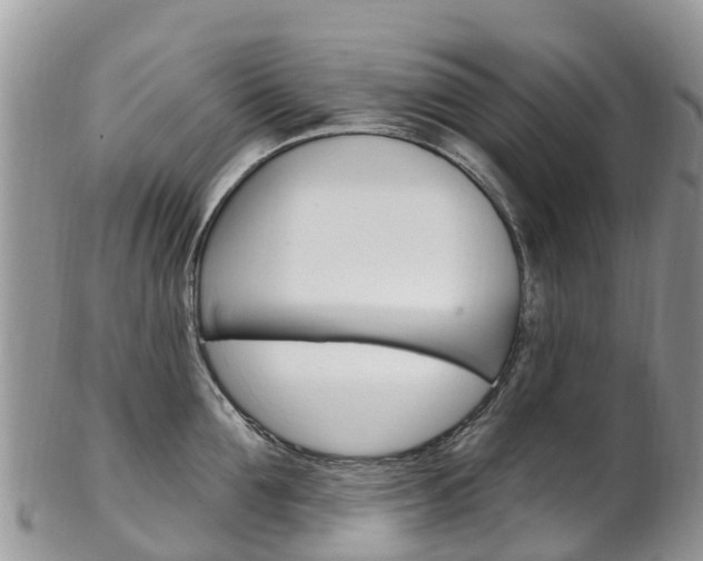 X0000102790907200808180951