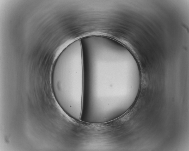 X0000102790910200808180951