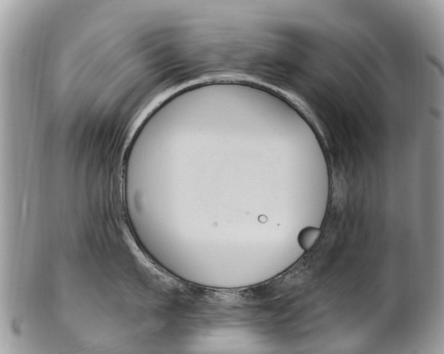 X0000102790911200808180951