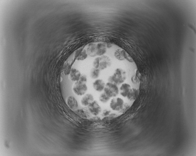 X0000102790913200808180950