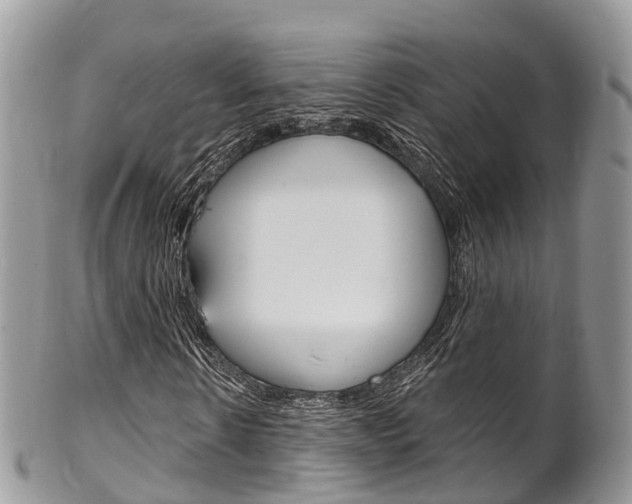 X0000102790914200808180950
