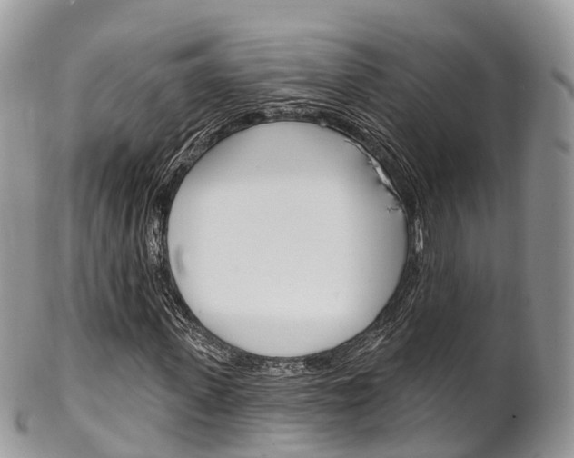 X0000102790915200808180950
