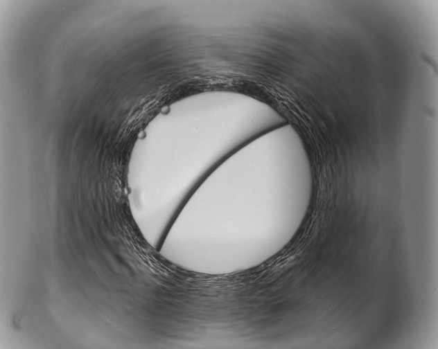 X0000102790916200808180950