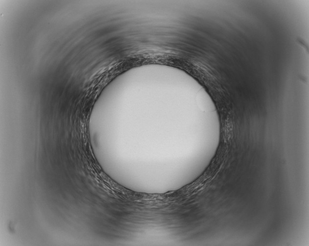 X0000102790917200808180950