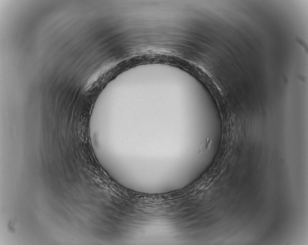 X0000102790919200808180950