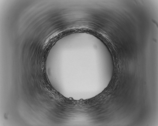 X0000102790920200808180950