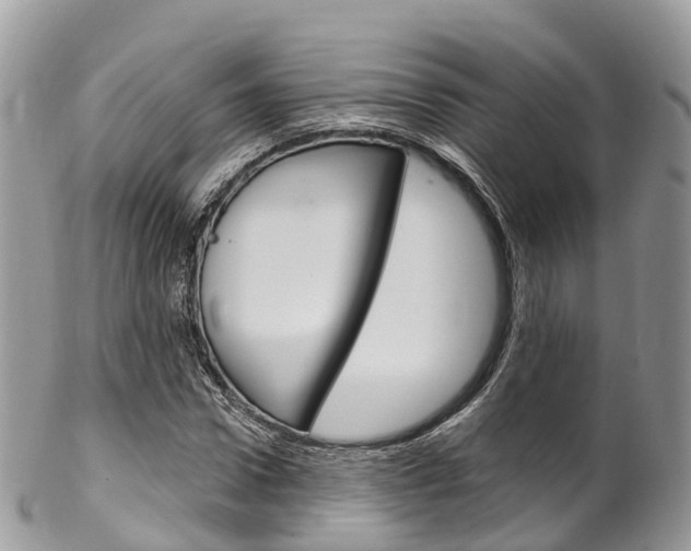 X0000102790922200808180950