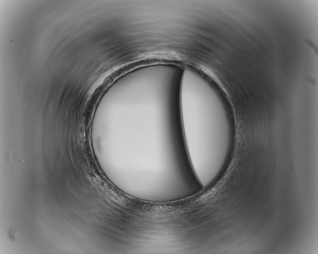 X0000102790923200808180950