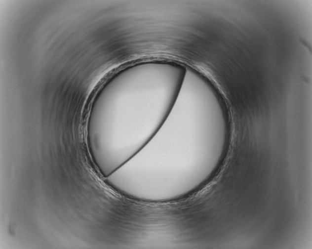 X0000102790924200808180950