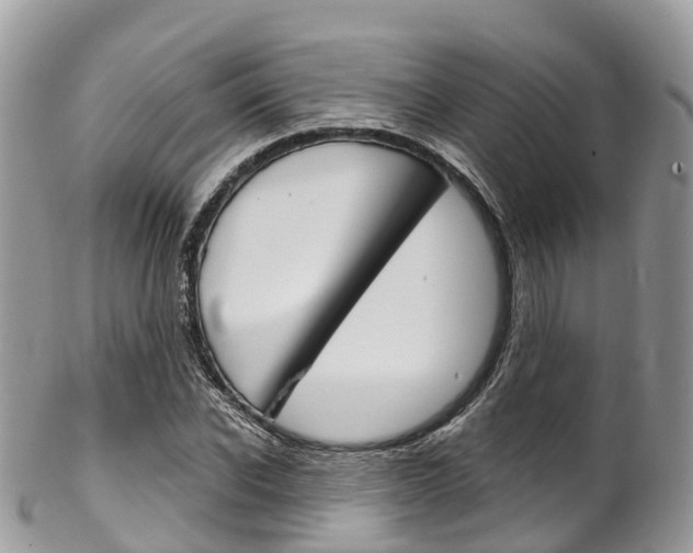 X0000102790926200808180950
