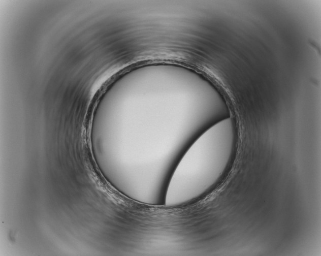X0000102790928200808180950