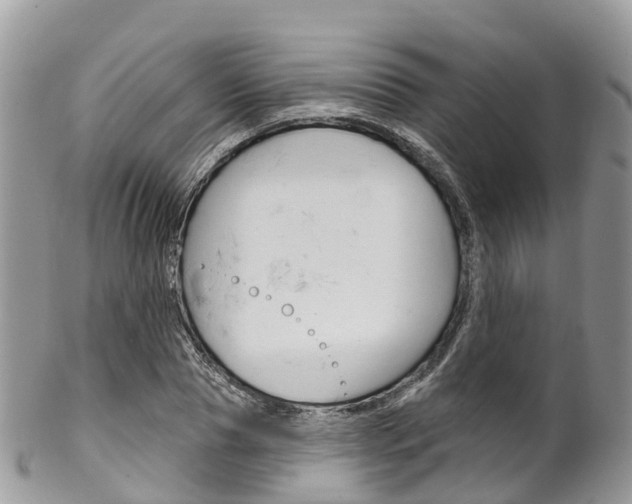 X0000102790929200808180950