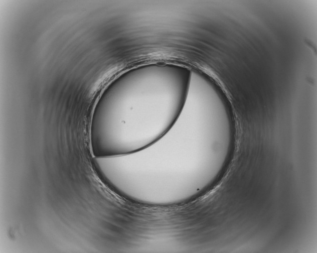 X0000102790930200808180950