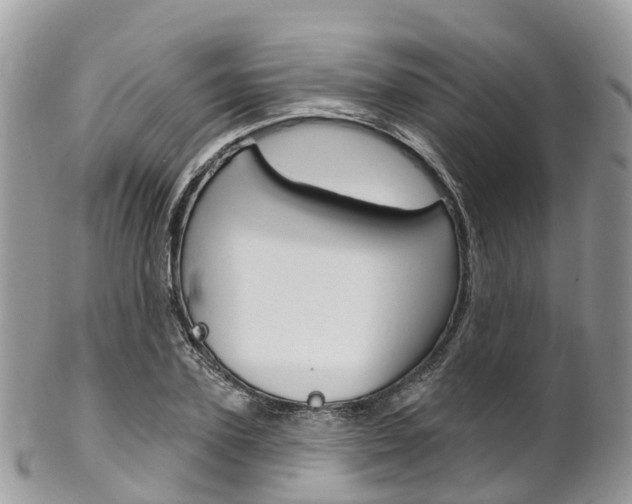 X0000102790931200808180950