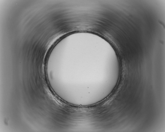 X0000102790932200808180950