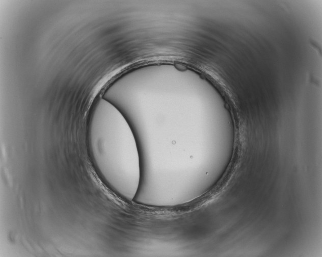 X0000102790933200808180950