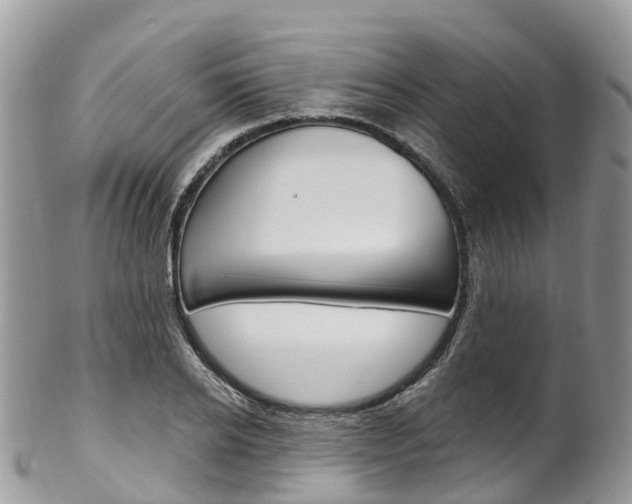 X0000102790934200808180950