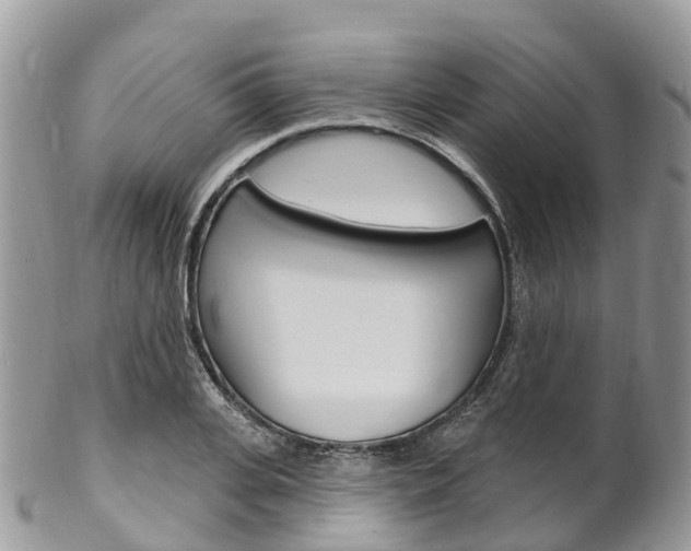 X0000102790935200808180950