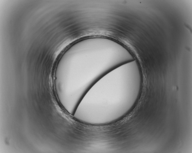 X0000102790936200808180950