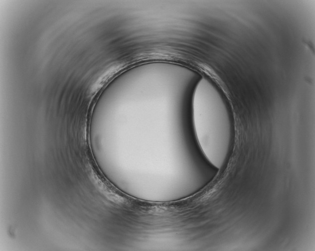 X0000102790938200808180950