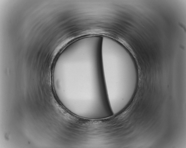 X0000102790939200808180950