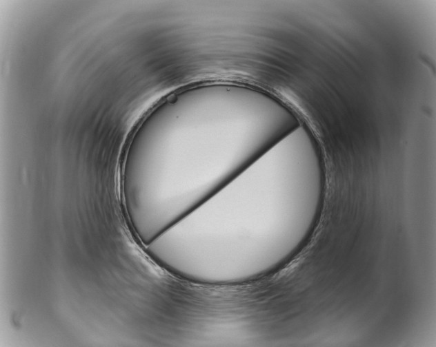 X0000102790940200808180950
