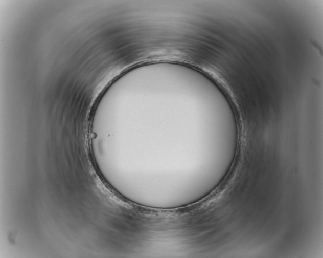 X0000102790941200808180950