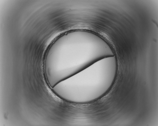 X0000102790942200808180950