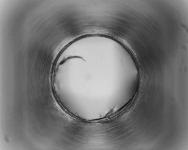 X0000102790943200808180950