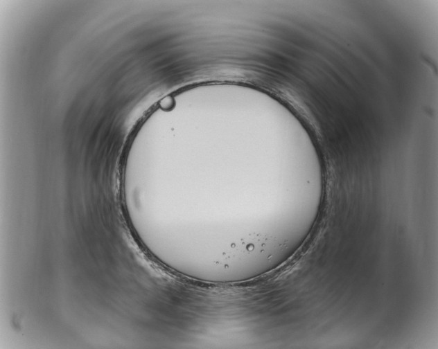 X0000102790944200808180950