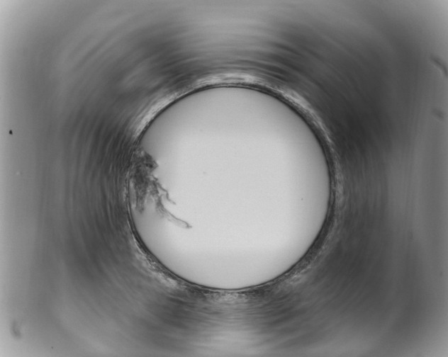 X0000102790945200808180950