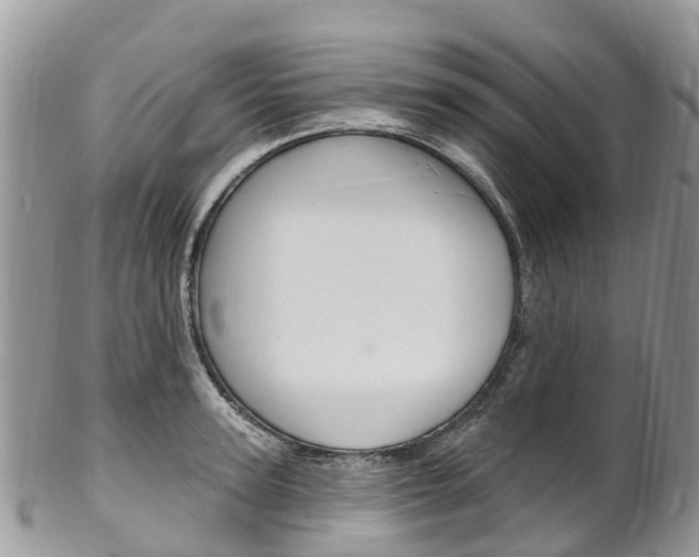 X0000102790947200808180950