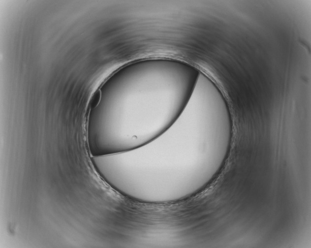 X0000102790948200808180950