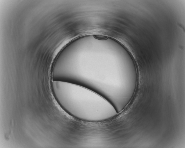X0000102790949200808180950