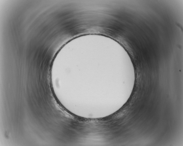 X0000102790950200808180950