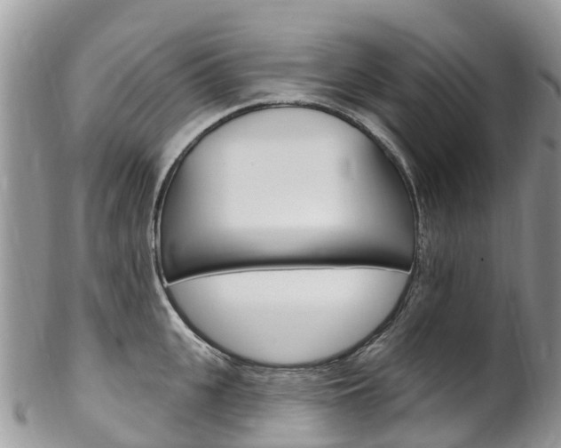 X0000102790951200808180950