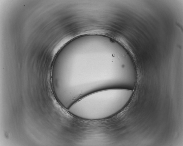 X0000102790952200808180951