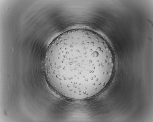 X0000102790953200808180951