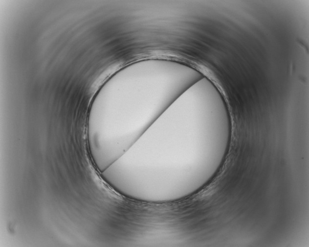 X0000102790954200808180951