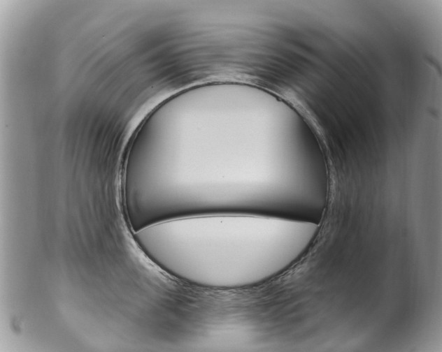 X0000102790955200808180951
