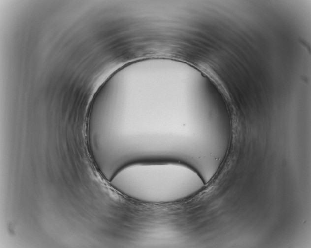 X0000102790956200808180951
