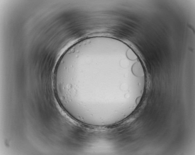 X0000102790957200808180951