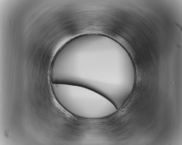 X0000102790958200808180951