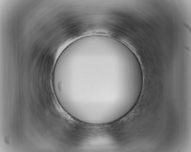X0000102790960200808180951