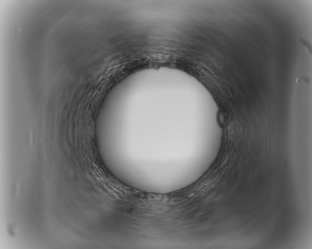 X0000102790961200808180950